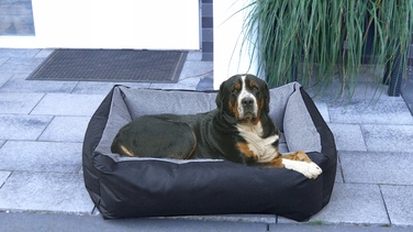 Диван для собак Superkissen24, сірий, 120 см x 90 см