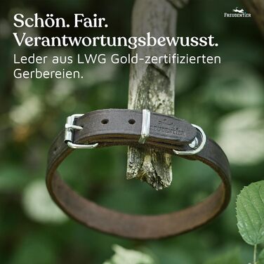 Нашийник для собак Freudentier Alsterufer з натуральної шкіри (шоколадний, 20,5-27 см)