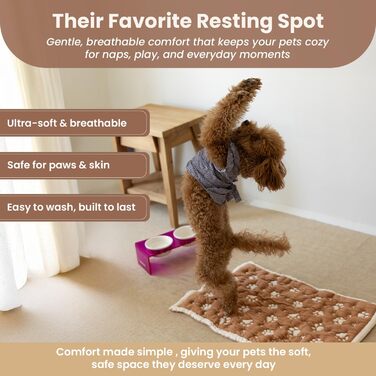 Килимок для собак та котів PetMat з органічної бавовни, 40,6 x 61 см, двосторонній, безшовний, м'який 3D-в'язаний, для лежанок, бежевий