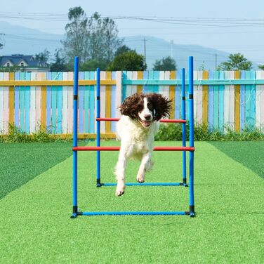 Набір для дресирування та agility для собак VEVOR: 4 регульовані бар'єри, 6 сленлом-стійок, кільце для стрибків, бокс, свисток та миска