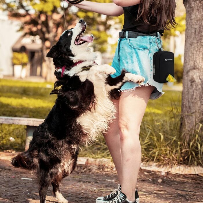 Сумка для ласощів та пакетиків для вигулу собак COOWONE, рожева (чорна)