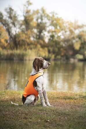 Одяг для собак Julius-K9 IDC Neopren, XL, чорний та UV-оранжевий