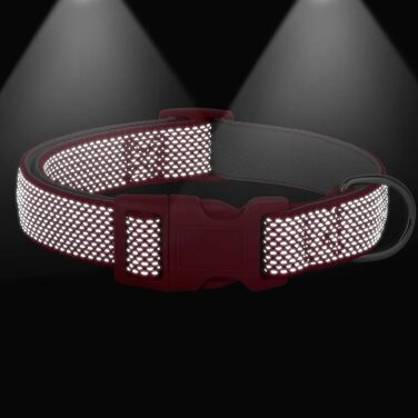 Світловідбиваючий нашийник для собак Didog з пряжкою, регульований, м'який неопрен, з підкладкою, нейлон, для собак маленьких, середніх та великих порід, L (M: обхват шиї 25-43см, червоний)