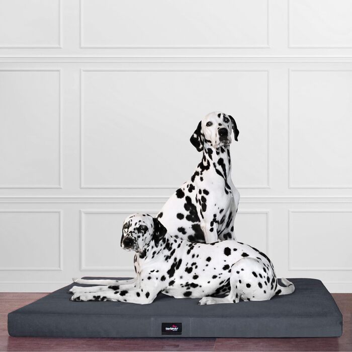 Ортопедичний лежак для собак Tierlando® Alice з міцного поліестеру 600D, з віскоеластичною матрацом та антиковзною основою, 120x90 см, сірий