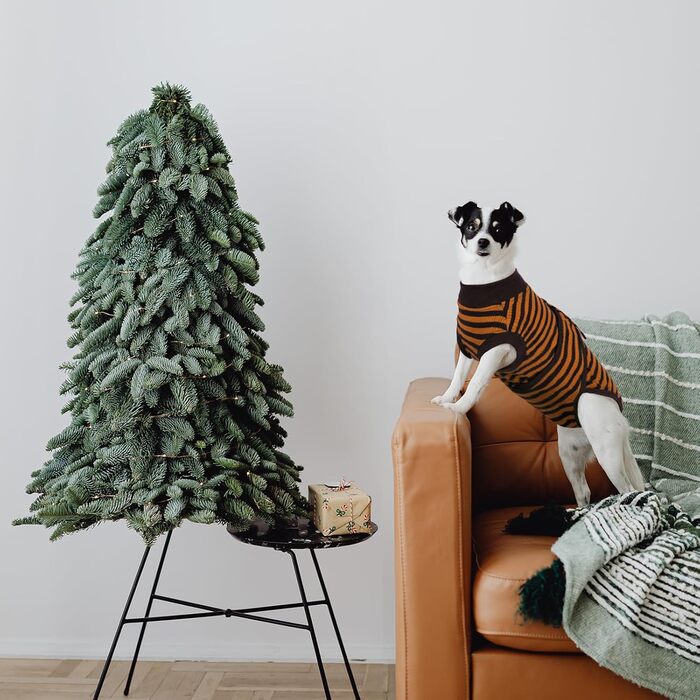 Тіло для собак після операції, захист від лизання, дихаючий боді для собак, XS, коричневий (1 шт.)