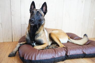 Ліжко для собак середніх порід 4L Textil Ella з штучної шкіри, водонепроникний матрац (90x70 см, коричневий)