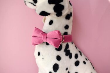 Іменний нашийник для собак з металевою застібкою, індивідуальні адресники для тварин з гравіюванням імені, номера телефону та адреси (Стиль B)