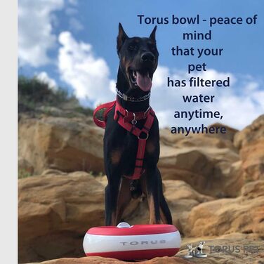 Автоматична поїлка Torus Pet Maxi 2 л, червона, для собак і котів, з фільтрацією, антибактеріальна, без BPA, для дому та подорожей
