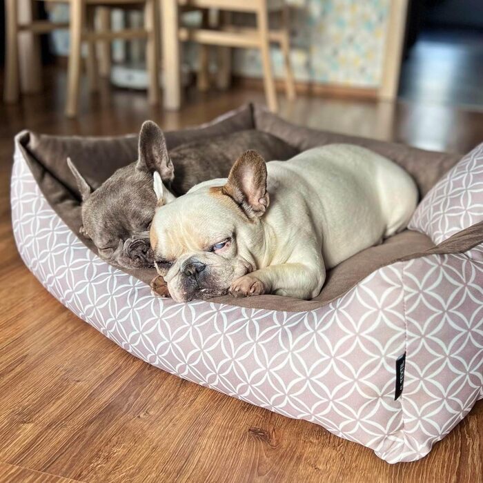М'яке собаче ліжко Otto 80x60 см, коричневе. Знімна та пральна наволочка. Ліжко-кошик для собак середніх порід.
