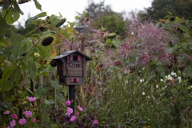 Дерев'яний годівничка та будиночок для птахів Wildlife Garden Multiholk Alpenhaus WG215