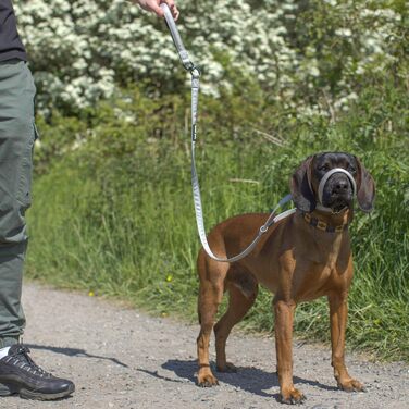 Повідок Total Pet Figur 8 для собак, плоский, з антизаплутуючим механізмом, функцією анти-тягнення, відбивною стрічкою та м'якою нашийною підкладкою, 210 см