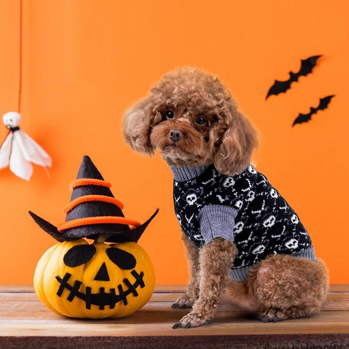 Светр для собак Cutebone на Halloween з принтом піратського черепа, одяг для цуценят, зручні світшоти та накидки з отвором для повідка, DS39M-DE M