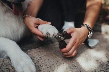 Ножиці для грумінгу Hunter SPA для собак та котів, 12,5 x 5,0 см, розмір M