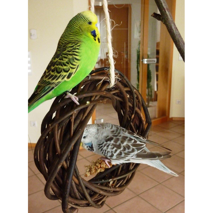 Два смачні дерев'яні кільця з лози для папуг, хвилястих та корел; плетіння з лози. Іграшка для птахів у клітку, вольєр. Ігровий майданчик для птахів для підвішування. 2 дерев'яні кільця 2.0