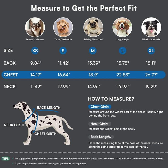 Пуловер для собак Queenmore Dackel, в'язаний водолазка для собак, підходить для Джек Рассел, Бульдог, Коргі, Французький Бульдог, Мопс (Синій, M)