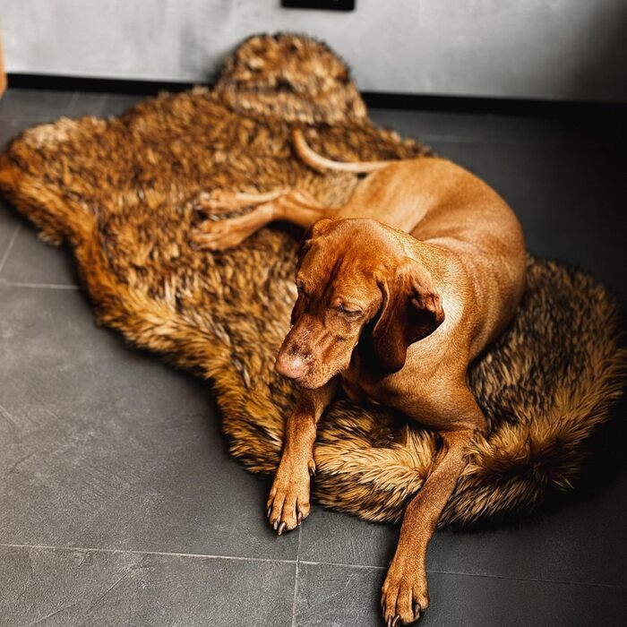 Ортопедичне собаче ліжко iHAPPYDOG з штучного хутра: м'яке, водонепроникне, з Memory Foam, для собак маленьких, середніх, великих та XL, коричневе, велике/екстра-велике (60x35 см)