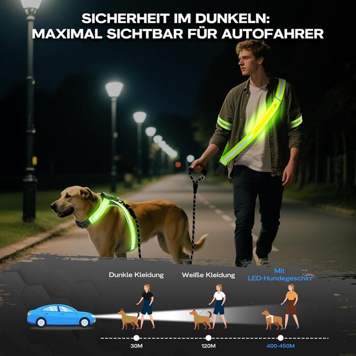 Світловідбиваюче обід для собак з LED-підсвічуванням, регульований, 1,5м, для нічних прогулянок