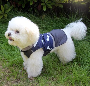 Водонепроникний теплий зимовий одяг для собак (маленьких порід) JoyDaog, перевертається, з флісовим коміром, блакитний, розмір S