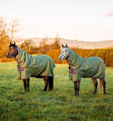 Кінська попона Horseware Amigo Hero Ripstop Plus, легка, 0 г, розмір 66, колір Bramble/Winterberry & Taupe