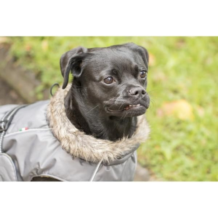 Теплий зимовий пуховик для собак Chiara з шлейкою, сірий, розмір L, з відбиваючими смугами та штучним хутром