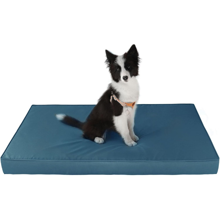 Ортопедичне ліжко для собак з Memory Foam, блакитне, розмір M. Ліжко для собак з шаруватого пінополіуретану, знімний, пральний чохол. Підходить для собак маленьких, середніх та великих порід.