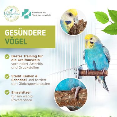Набір Vogelgaleria 10 предметів: сідала, гойдалка, полиця, канат для хвилястих папуг і корел