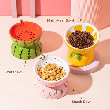 Котло propositions для котів TIGOADT, керамічна миска з дизайном ківі, нахилена годівниця для котів з підставкою, миска для кошенят, що запобігає блювоті, придатна для миття в посудомийній машині (рожева)