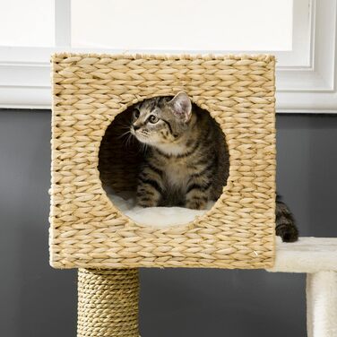 PawHut Когтеточка для котів 100,5 см з будиночком, лежаком, драбинкою, подушкою та сизалевими стовпчиками, для котів до 4,5 кг, натуральний колір