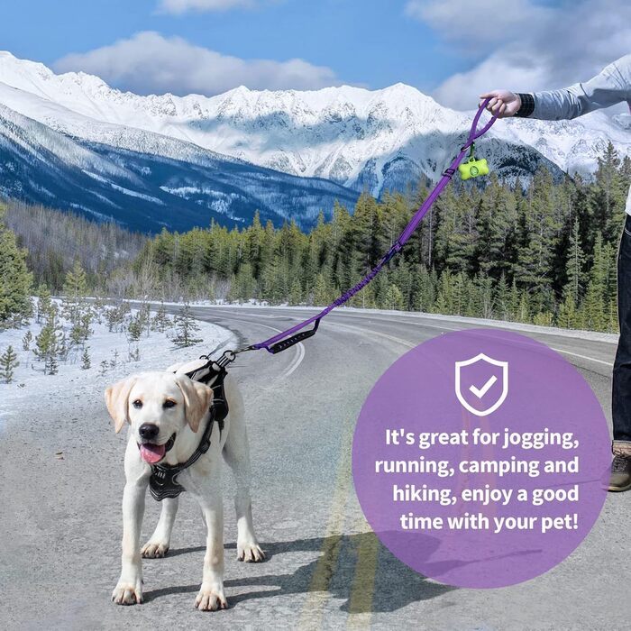 Нашийник для собак IOKHEIRA: регульований поводок (1,2-1,5 м) з безпечним кріпленням, м'який на дотик, з світловідбиваючими нитками (неоновий зелений, сливовий ліловий)