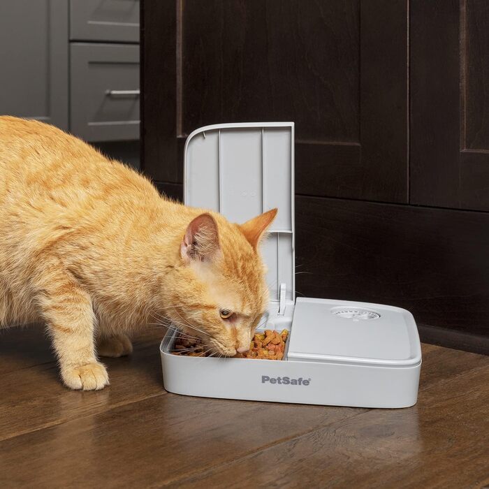 Автоматичний годівник для собак та котів PetSafe, 2 порції, сірий