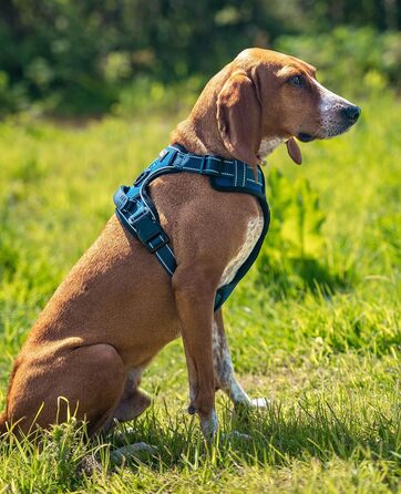 Нашийник для собак Lionto, м'який, нейлон, розмір M, анти-тяга, з 2 кільцями, 4 регульованими ремінцями, 2 застібки, гумовий ручка, блакитний