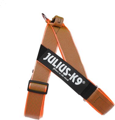 Шлея Julius-K9 Color & Gray для собак, нейлонова, регульована