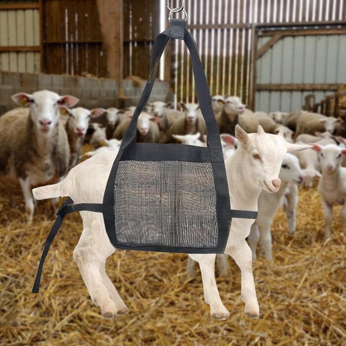 Вага для собак, телят, ягнят та альпак | Переносний знімний ремінь для грумінгу