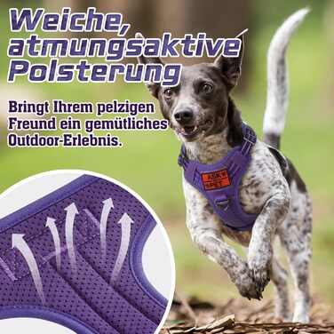 Нагрудник для собак Rabbitgoo середнього розміру, анти-тяга, регульований з ручкою, міцний, тактичний, з металевими пряжками для прогулянок (M, фіолетовий)