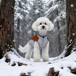 колір: браун