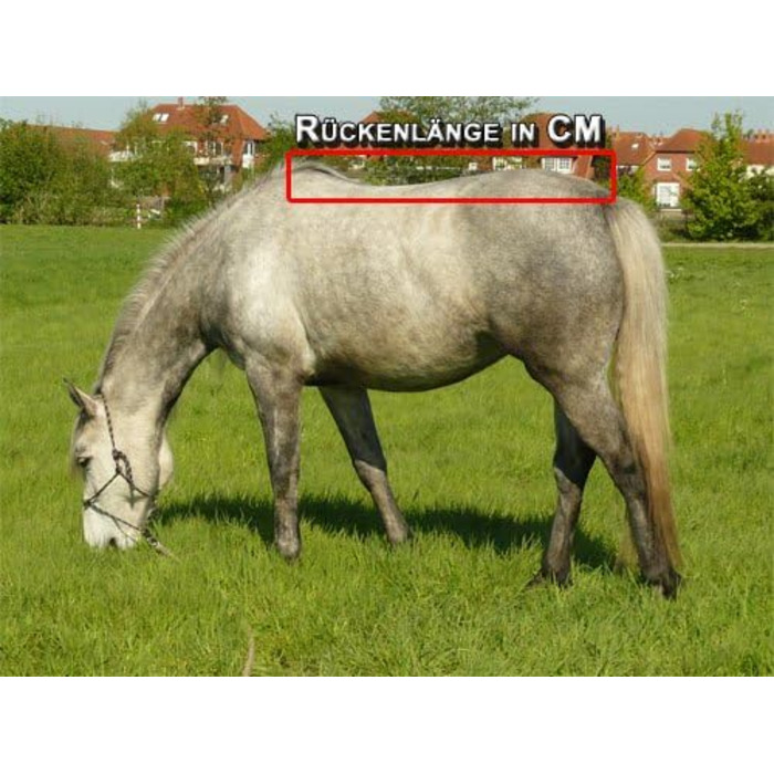Кінська зимова попона time4horses 1200D з високою горловиною, 300 г, водонепроникна, для стайні та пасовища, 145 см