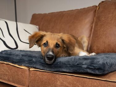 TrendPet Harmony: М'яка підстилка для собак та котів, 50x35 см, антрацит