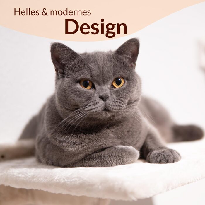 Meoville® настінний комплекс для котів XXL, 4 предмети, масив дерева, суперміцний: гамак, лежак, 2 сходинки, настінний драпак, бежева стінка для котів