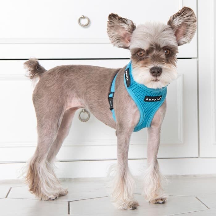 Шлея Puppia Soft Superior A для малих і середніх собак, супер м'яка