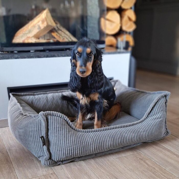 4L Textil М'яке собаче ліжко з корду Hugo Premium-LINE, ортопедичне, для маленьких собак, з піною з пам'яті, знімний чохол, плюшеве (темно-сірий, 60x40 см)