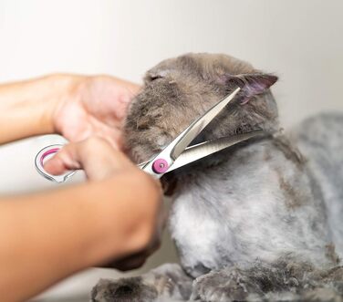 Ножиці для грумінгу собак правою рукою від Petsvv: вигнуті, з безпечними закругленими кінцями, з нержавіючої сталі. Підходять для собак, котів та інших тварин.