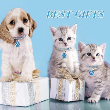 Нашийник для кота Hillban з діамантовою імітацією, блискучий, металевий з безпечною застібкою, з підвіскою у вигляді лапки та ID-місцем, з дзвіночком, сріблястого кольору, морської хвилі (20.3 см, 8 дюймів)