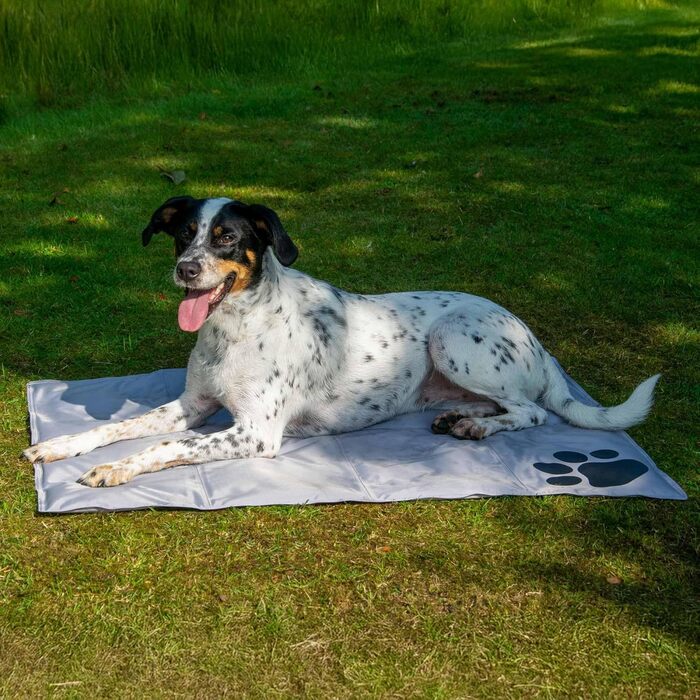 Kühlmatte für Hunde von dobar® - Kühldecke für Hunde & Katzen - Selbstkühlende Matte für Haustiere - 99,5 x 70 cm - Grau