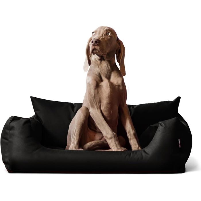 Tierlando® Hundebett NEMO: зручне ліжко для собак з Oxford 600D, знімний матрац та пральна наволочка, розмір 65x50 см, чорний колір