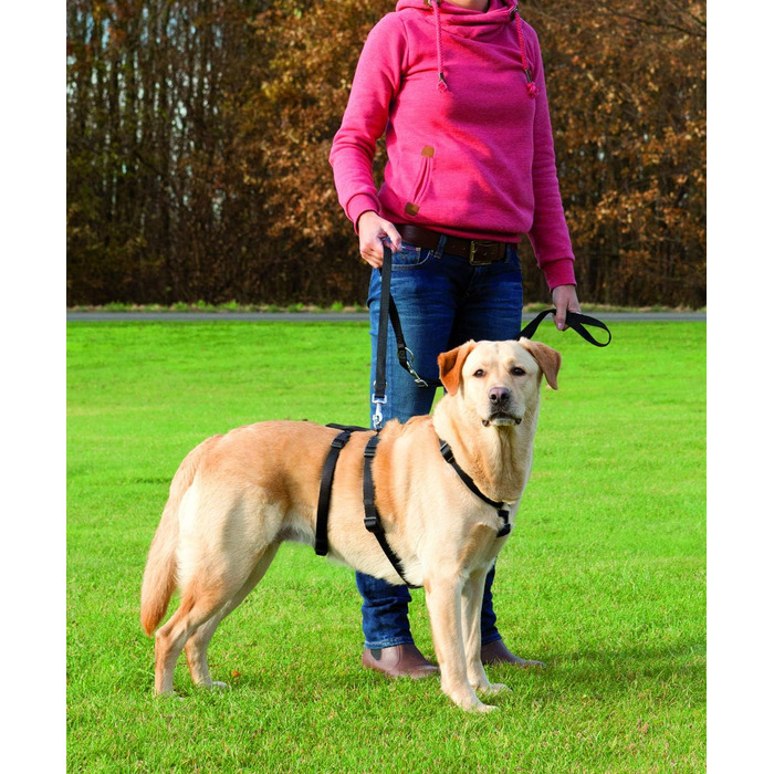 Миска для собак Trixie Stay L-XL, 75-100 см, 25 мм (Чорний)