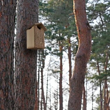 Будиночки для сов із японського кедра, з корою, дерев'яні
