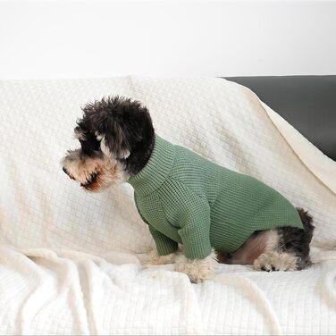 Зелений теплий зимовий пуловер для собак Konvinit, для чихуахуа, такси, бульдога, малих та середніх порід