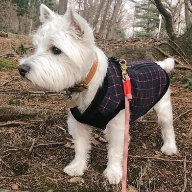 Жилет для собак Gooby Modische, степеневий, з еластичною зоною грудей, ромбовий візерунок, великий розмір (обхват грудей ~43.8 см), X-Large (обхват грудей ~49.5 см), морської колір в клітинку