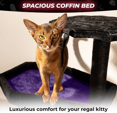Готичне котяче дерево з лежаком-саркофагом Littlesy, великий чорний з фіолетовим, з сизалевими стовпчиками для дряпання, для котів, готичний котячий будиночок для Хелловіну