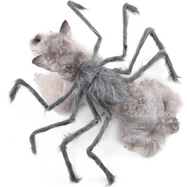 колір: сірий